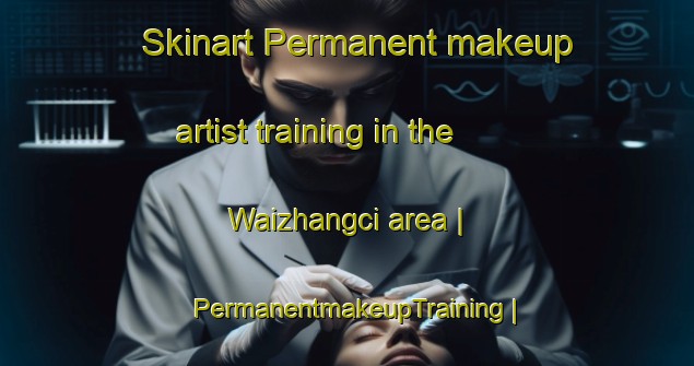 Skinart Permanent makeup artist training in the Waizhangci area | PermanentmakeupTraining | PermanentmakeupClasses | SkinartTraining-China
